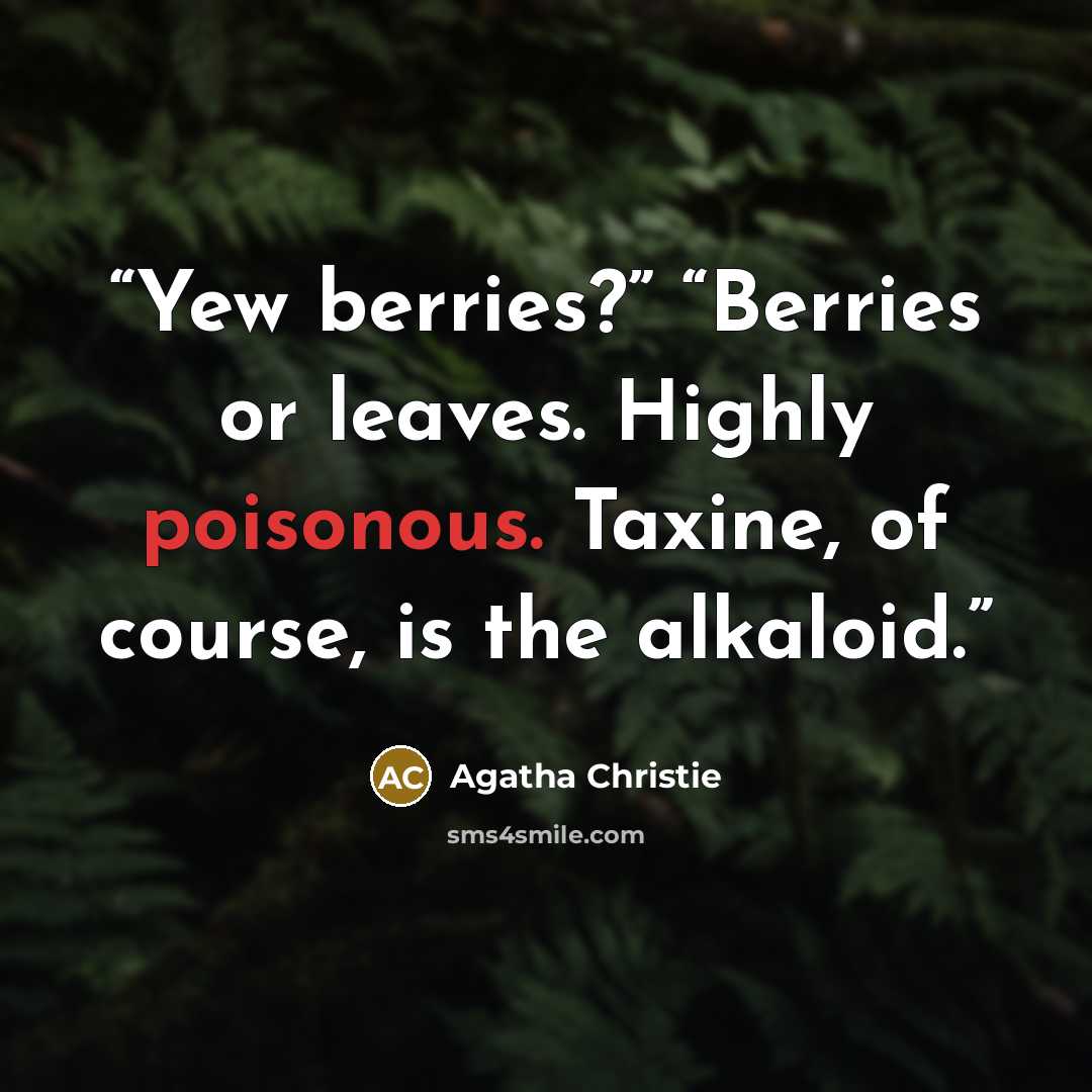 “Yew berries?” “Berries or leaves. Highly poisonous. Taxine, of course, is the alkaloid.” quote by Agatha Christie