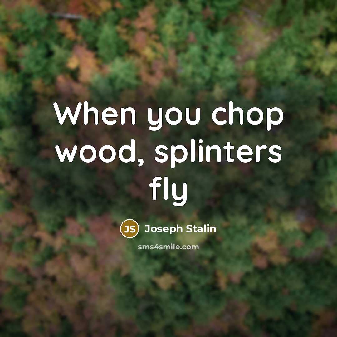 “When you chop wood, splinters fly” quote by Joseph Stalin