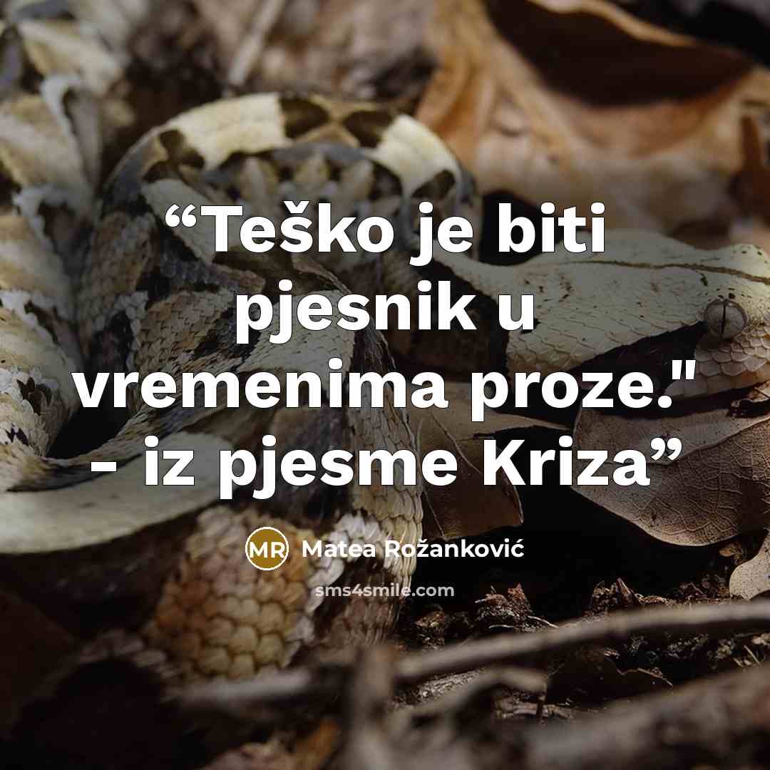 “Teško je biti pjesnik u vremenima proze." - iz pjesme Kriza” quote by Matea Rožanković