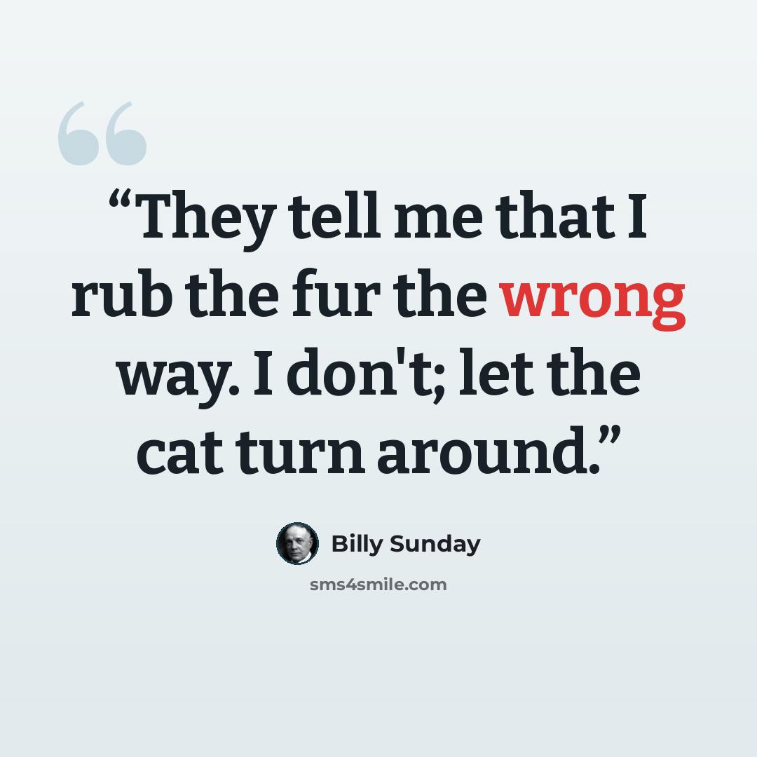“They tell me that I rub the fur the wrong way. I don't; let the cat turn around.” quote by Billy Sunday