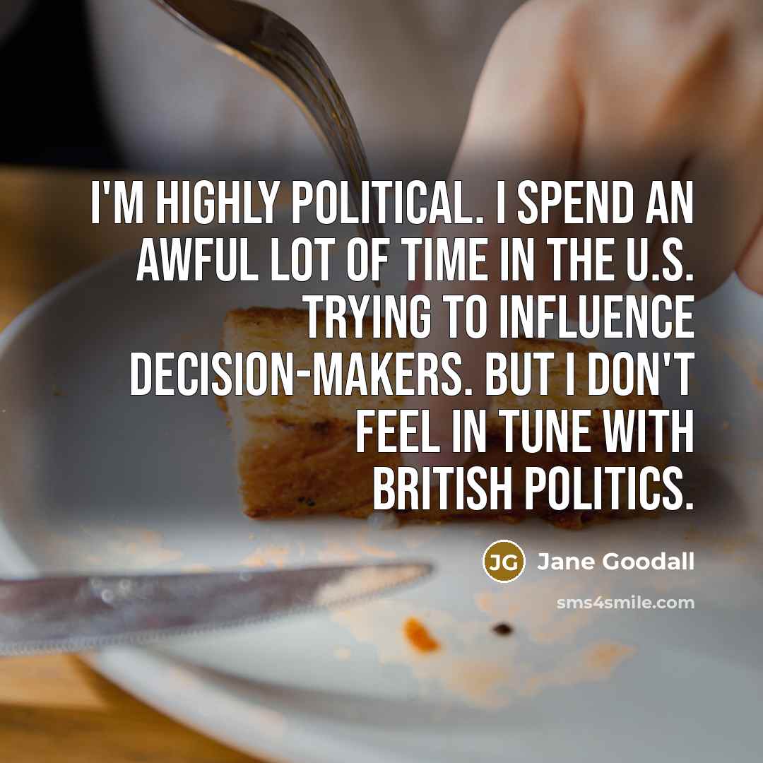 “I'm highly political. I spend an awful lot of time in the U.S. trying to influence decision-makers. But I don't feel in tune with British politics.” quote by Jane Goodall