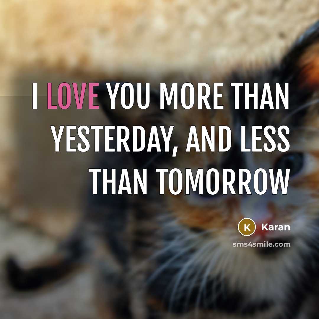 “I love you more than yesterday, and less than tomorrow” quote by Karan