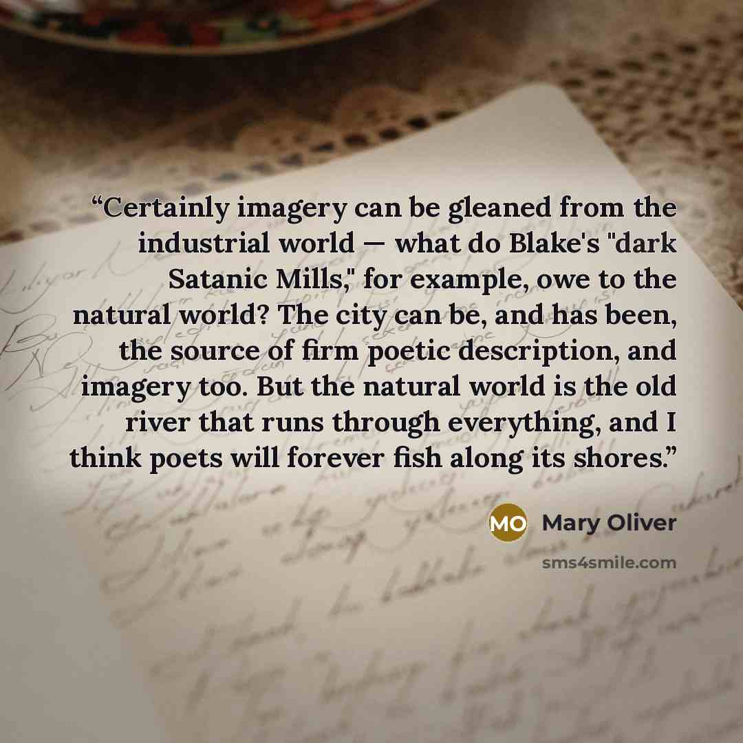“Certainly imagery can be gleaned from the industrial world — what do Blake's "dark Satanic Mills," for example, owe to the natural world? The city can be, and has been, the source of firm poetic description, and imagery too. But the natural world is the old river that runs through everything, and…” quote by Mary Oliver
