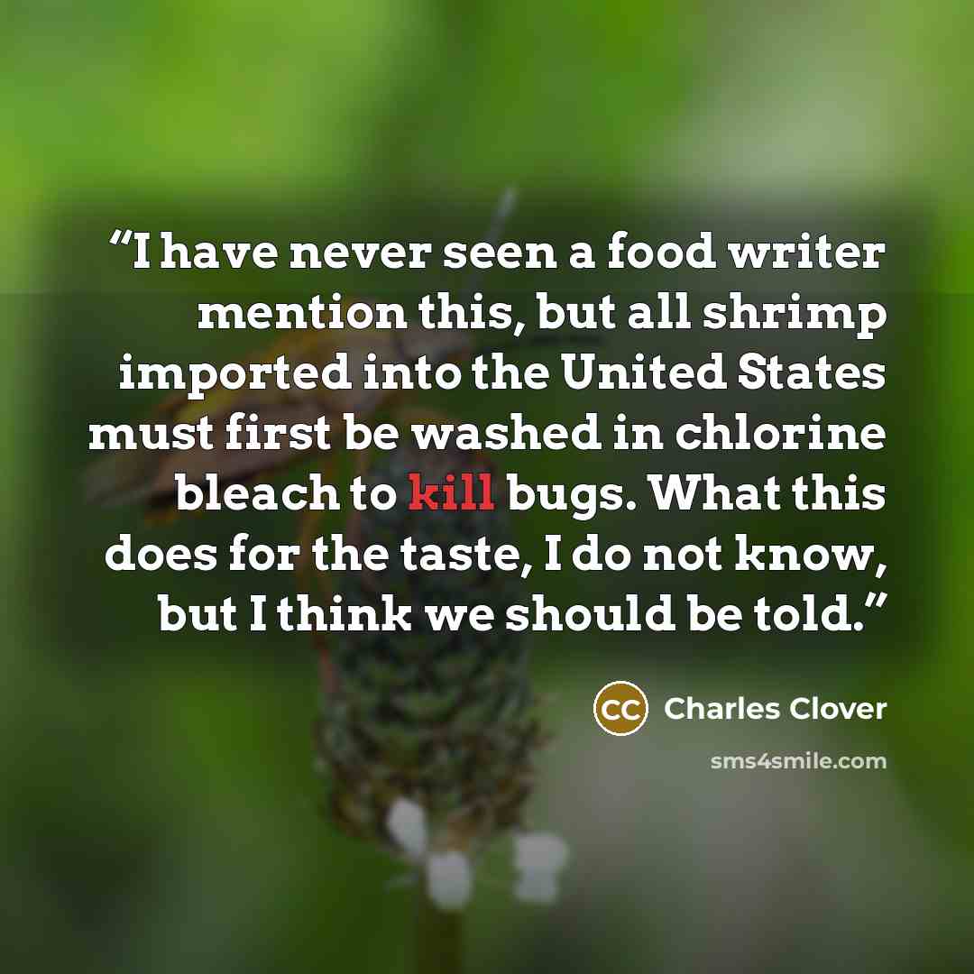 “I have never seen a food writer mention this, but all shrimp imported into the United States must first be washed in chlorine bleach to kill bugs. What this does for the taste, I do not know, but I think we should be told.” quote by Charles Clover