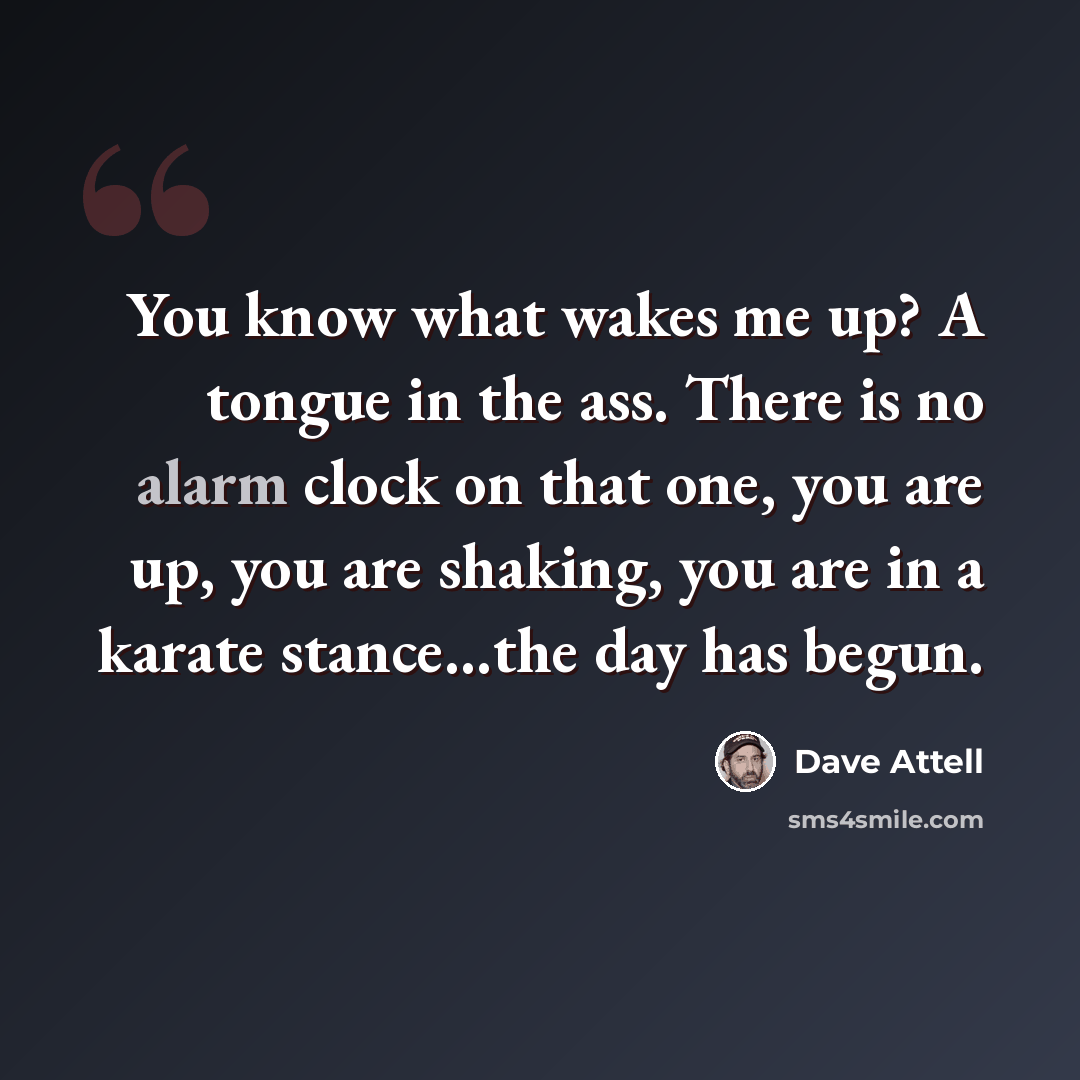 “You know what wakes me up? A tongue in the ass. There is no alarm clock on that one, you are up, you are shaking, you are in a karate stance…the day has begun.” quote by Dave Attell