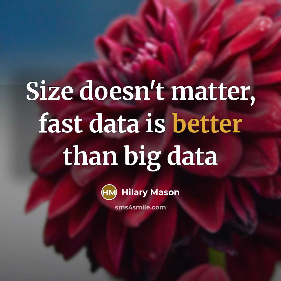 “Size doesn't matter, fast data is better than big data” quote by Hilary Mason