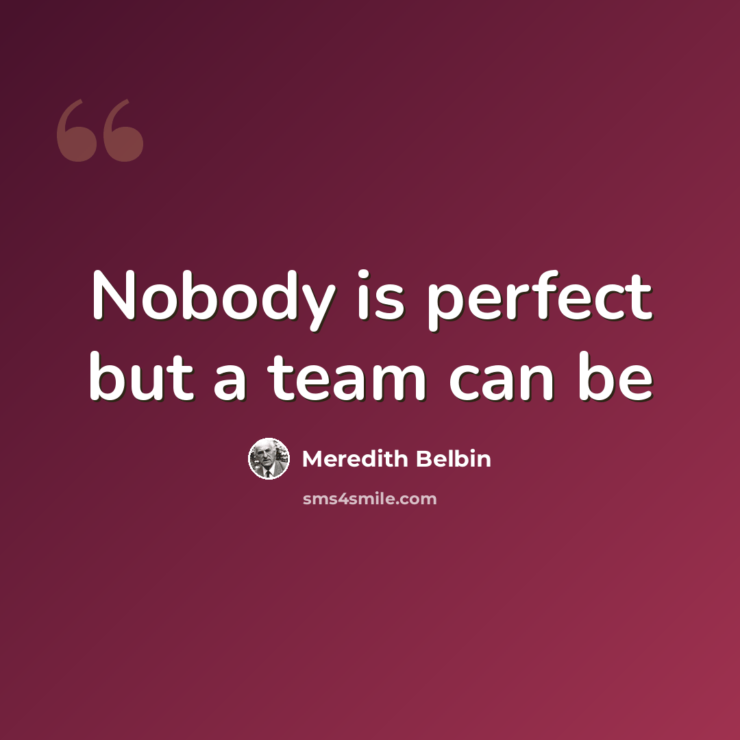 “Nobody is perfect but a team can be” quote by Meredith Belbin