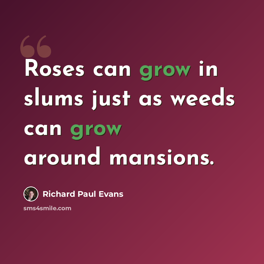 “Roses can grow in slums just as weeds can grow around mansions.” quote by Richard Paul Evans