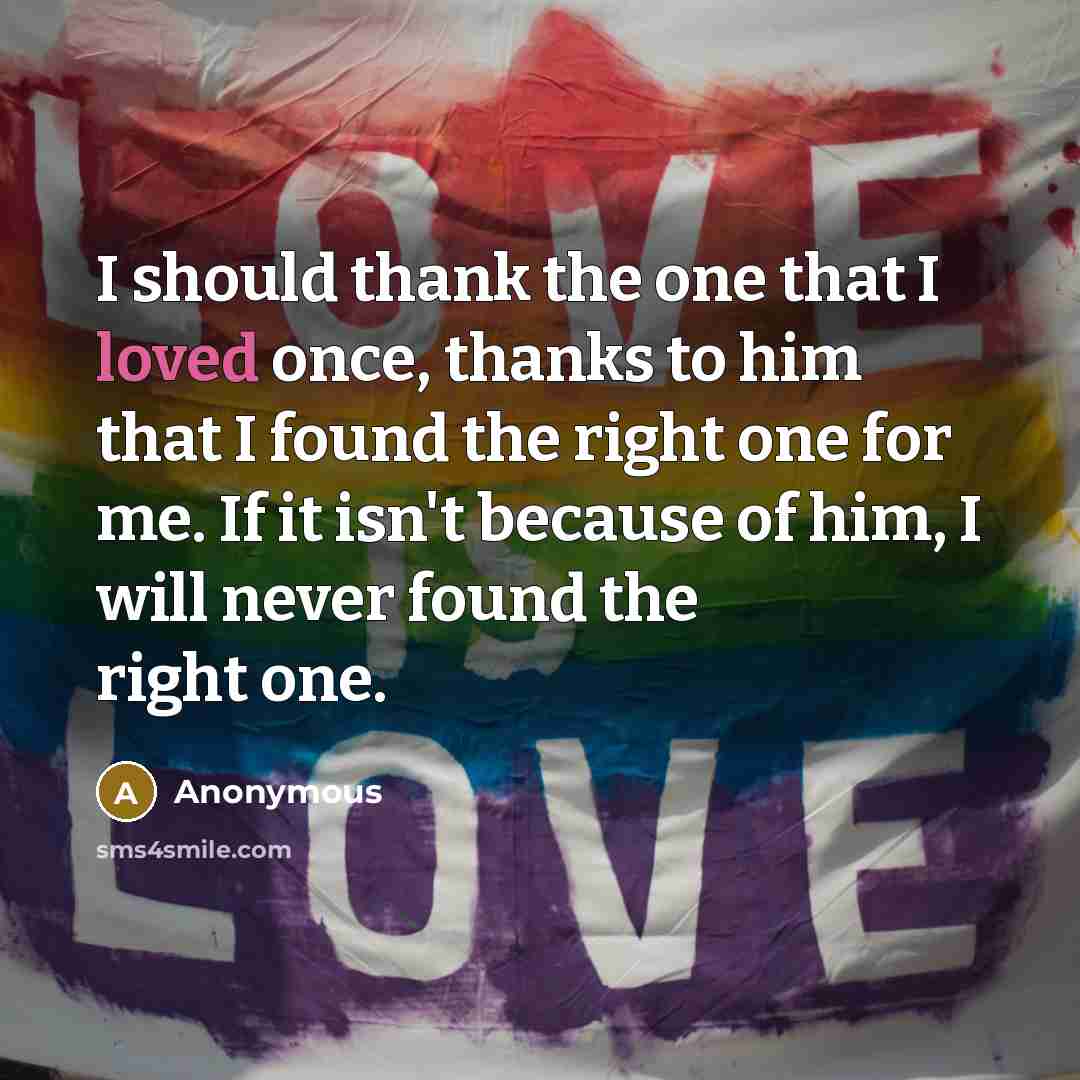 “I should thank the one that I loved once, thanks to him that I found the right one for me. If it isn't because of him, I will never found the right one.” quote by Anonymous