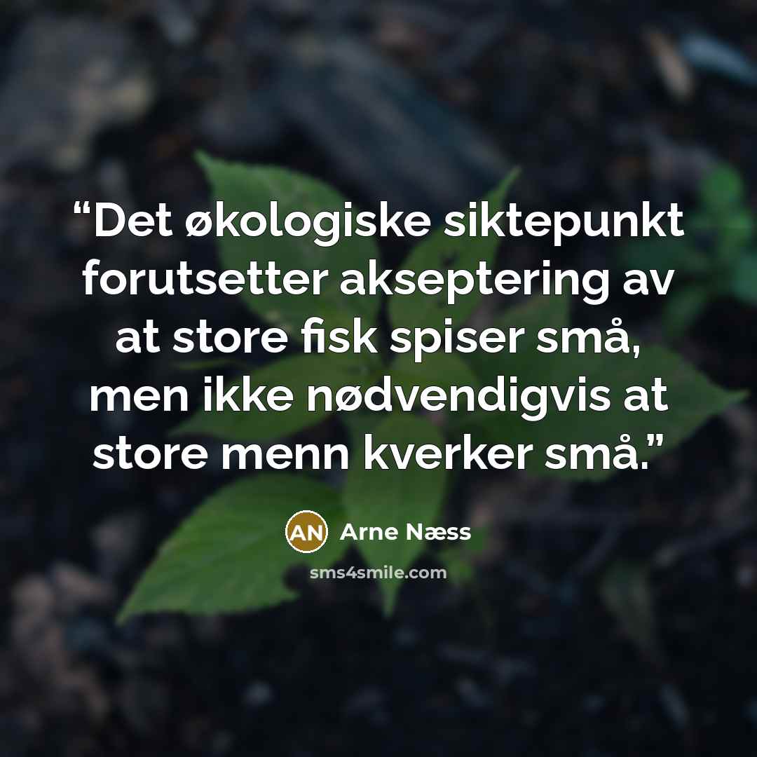 “Det økologiske siktepunkt forutsetter akseptering av at store fisk spiser små, men ikke nødvendigvis at store menn kverker små.” quote by Arne Næss