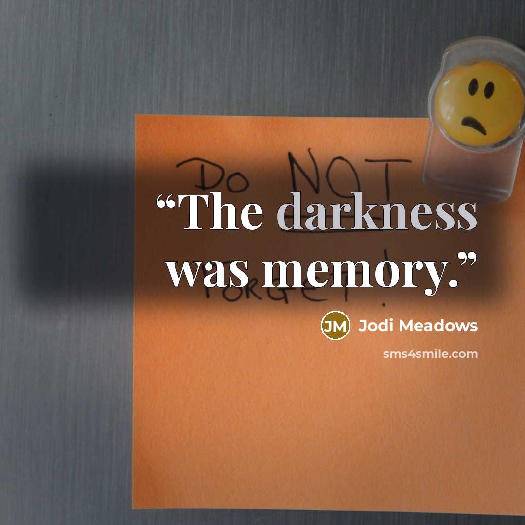 “The darkness was memory.” quote by Jodi Meadows