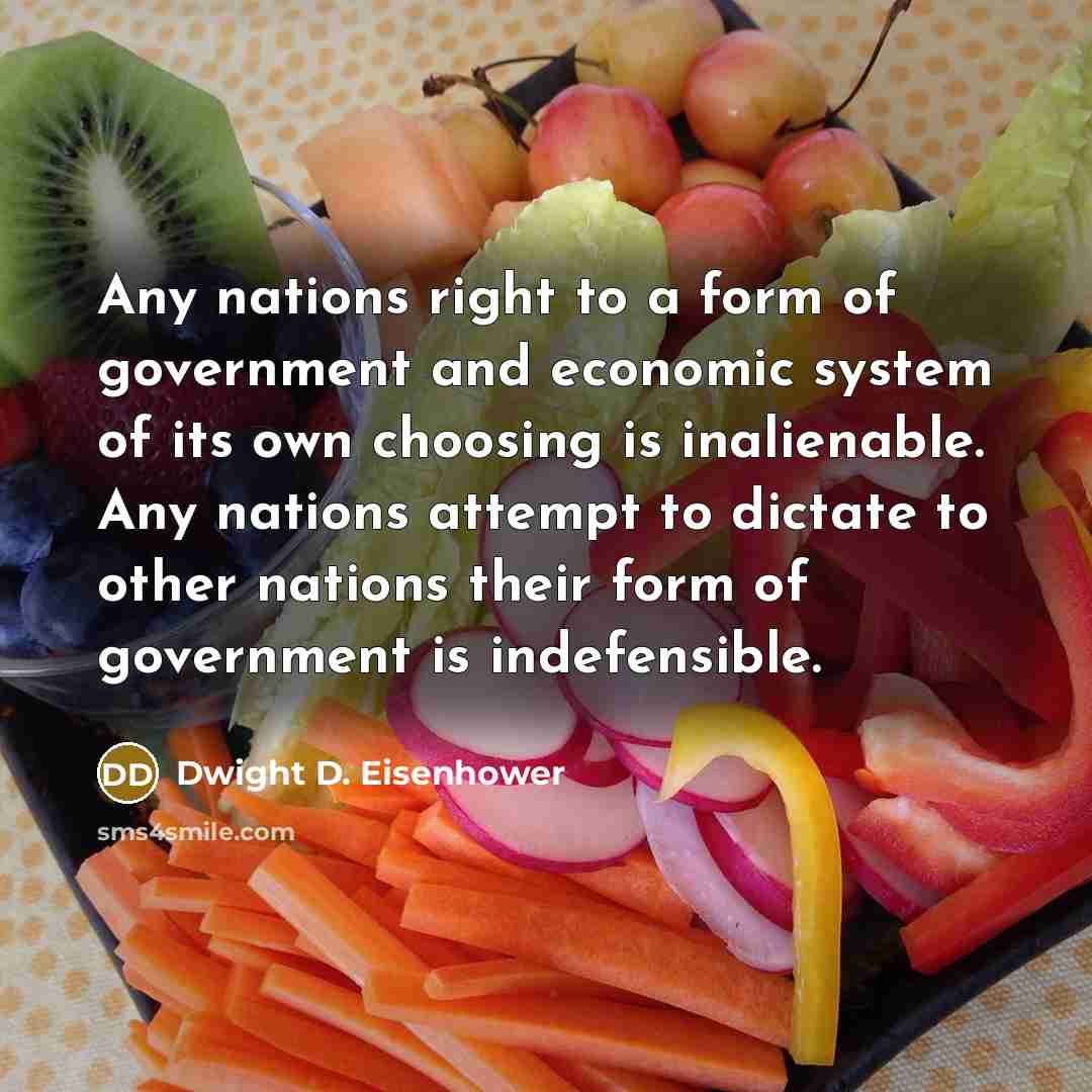 “Any nations right to a form of government and economic system of its own choosing is inalienable. Any nations attempt to dictate to other nations their form of government is indefensible.” quote by Dwight D. Eisenhower
