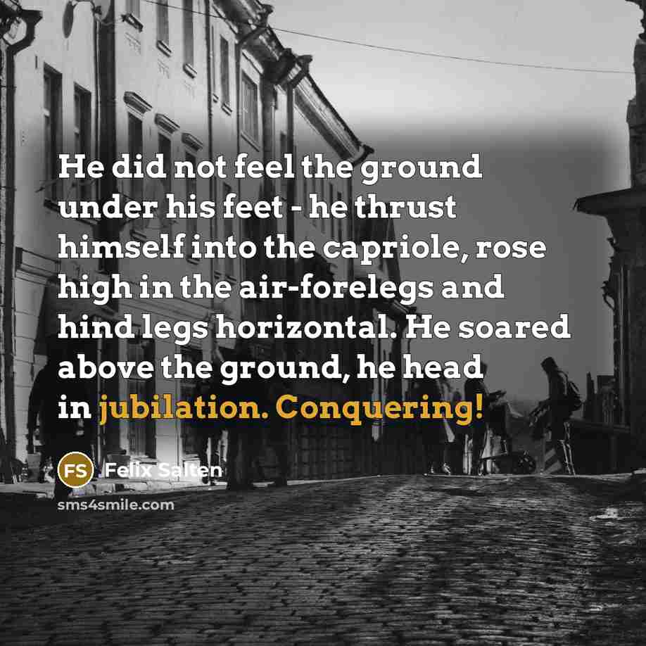 “He did not feel the ground under his feet - he thrust himself into the capriole, rose high in the air-forelegs and hind legs horizontal. He soared above the ground, he head in jubilation. Conquering!” quote by Felix Salten