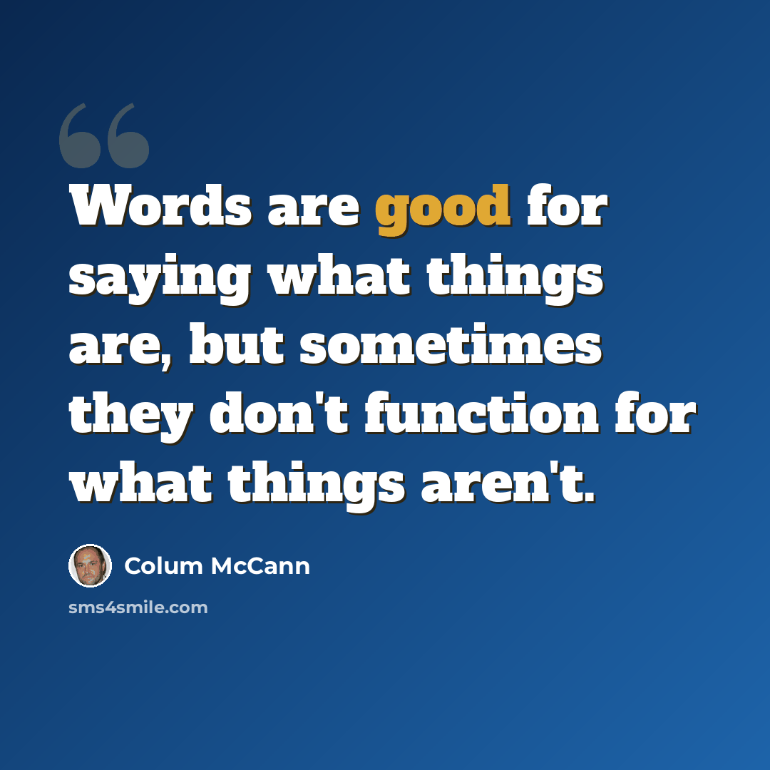 “Words are good for saying what things are, but sometimes they don't function for what things aren't.” quote by Colum McCann