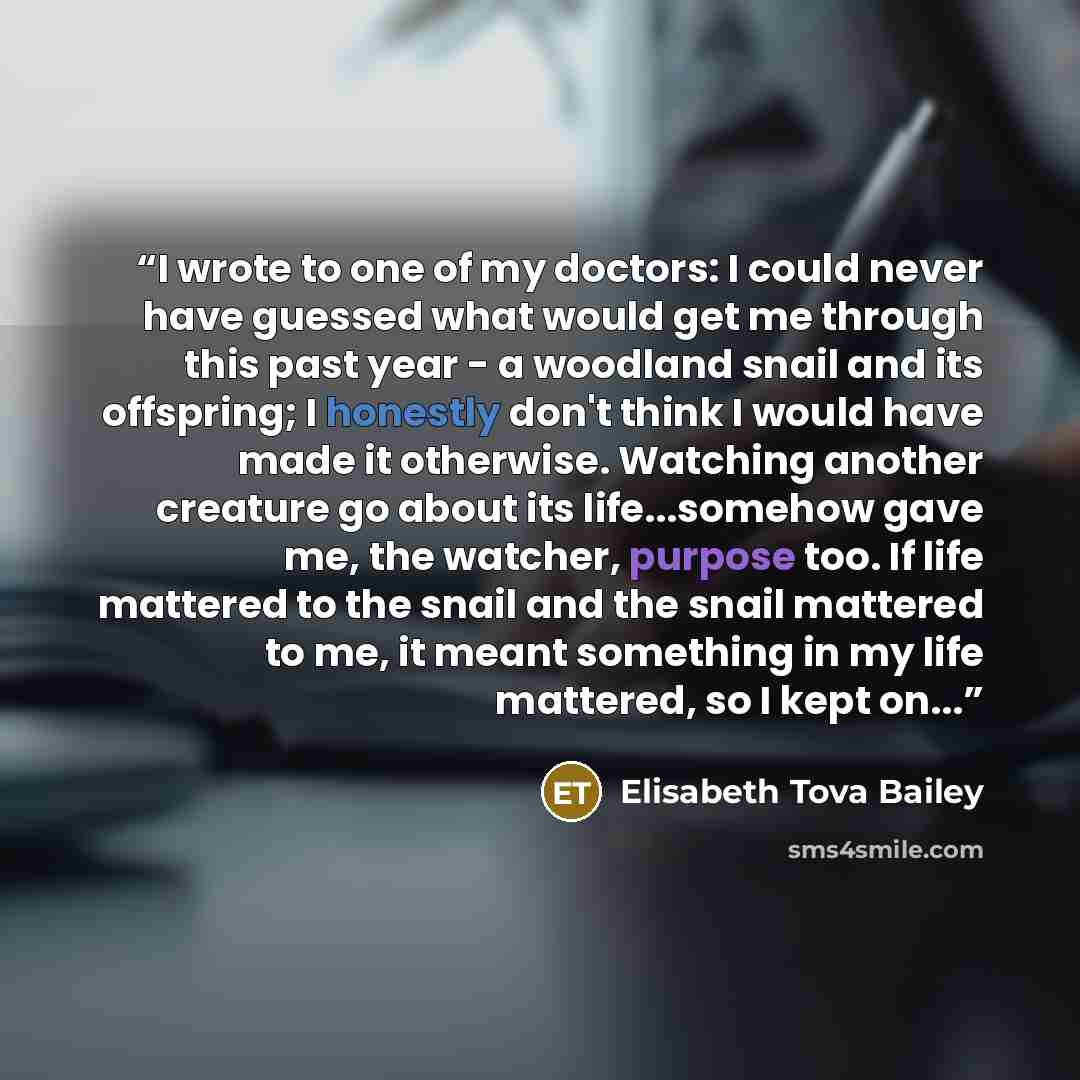“I wrote to one of my doctors: I could never have guessed what would get me through this past year - a woodland snail and its offspring; I honestly don't think I would have made it otherwise. Watching another creature go about its life...somehow gave me, the watcher, purpose too. If life mattered…” quote by Elisabeth Tova Bailey