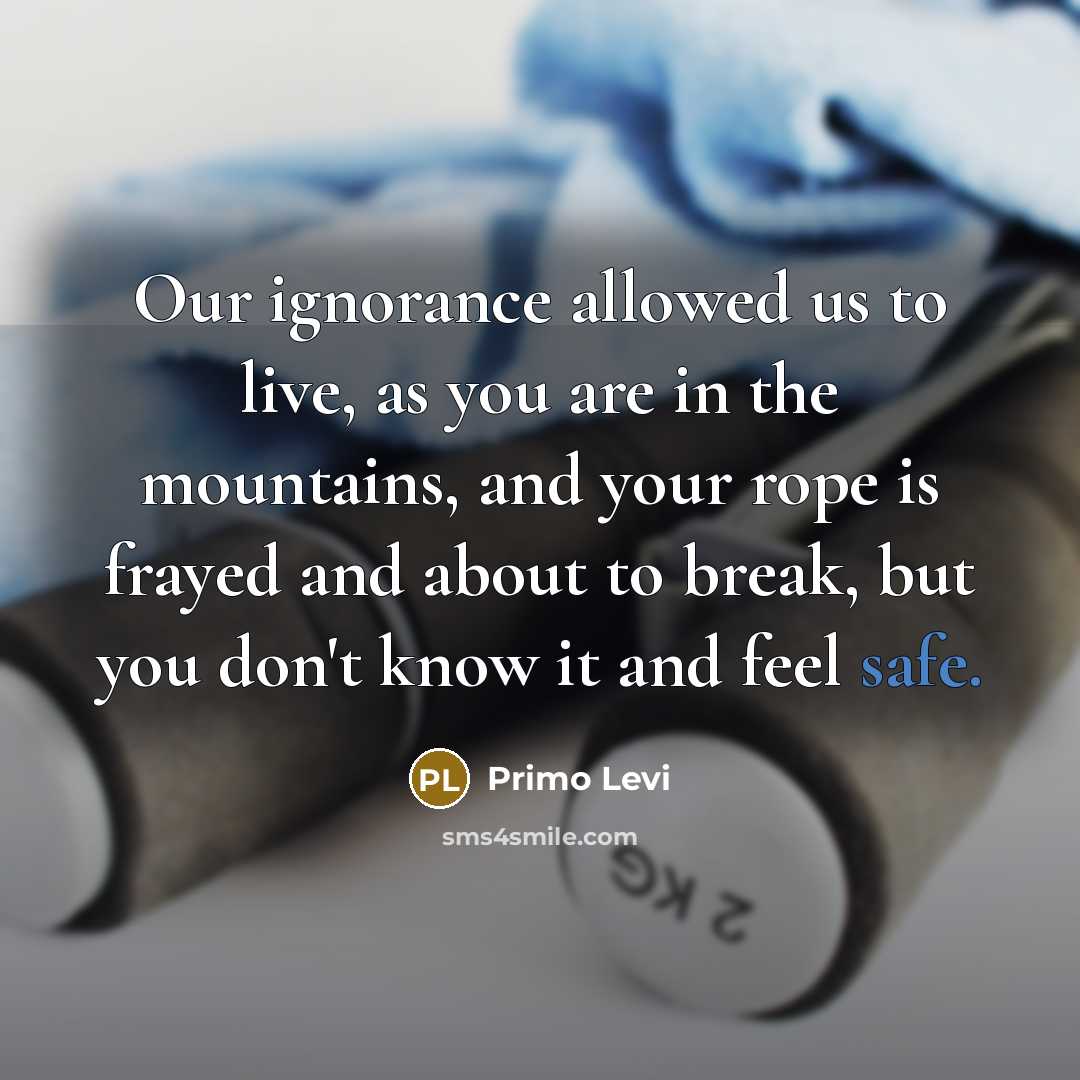 “Our ignorance allowed us to live, as you are in the mountains, and your rope is frayed and about to break, but you don't know it and feel safe.” quote by Primo Levi