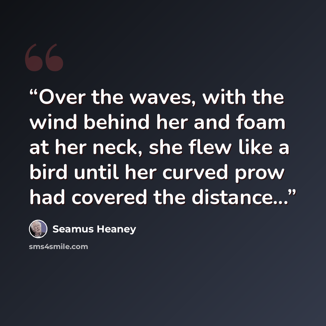 “Over the waves, with the wind behind her and foam at her neck, she flew like a bird until her curved prow had covered the distance...” quote by Seamus Heaney