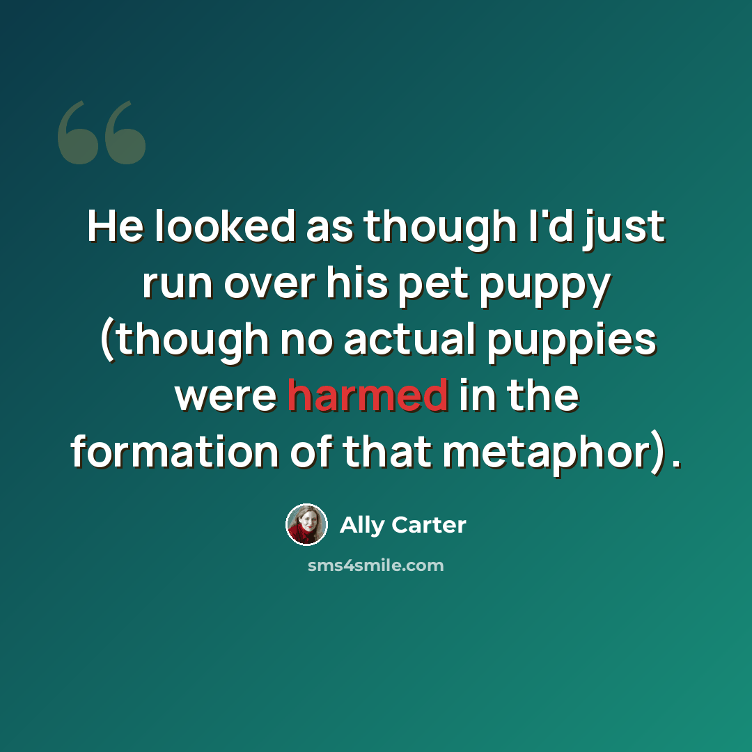 “He looked as though I'd just run over his pet puppy (though no actual puppies were harmed in the formation of that metaphor).” quote by Ally Carter