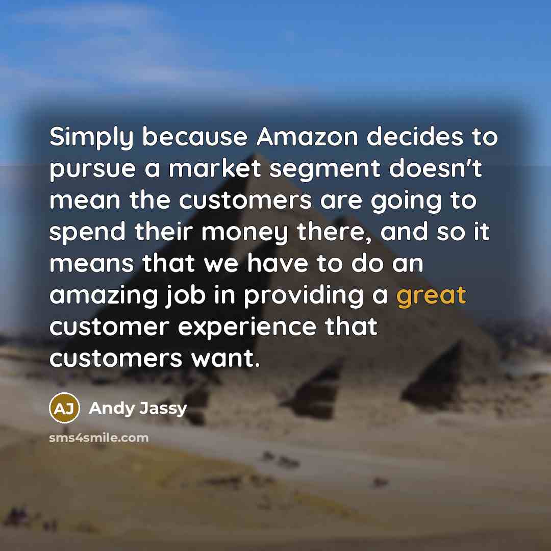 “Simply because Amazon decides to pursue a market segment doesn't mean the customers are going to spend their money there, and so it means that we have to do an amazing job in providing a great customer experience that customers want.” quote by Andy Jassy
