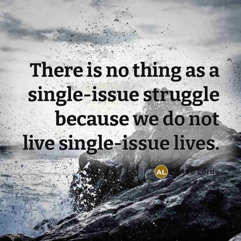 “There is no thing as a single-issue struggle because we do not live single-issue lives.” quote by Audre Lorde