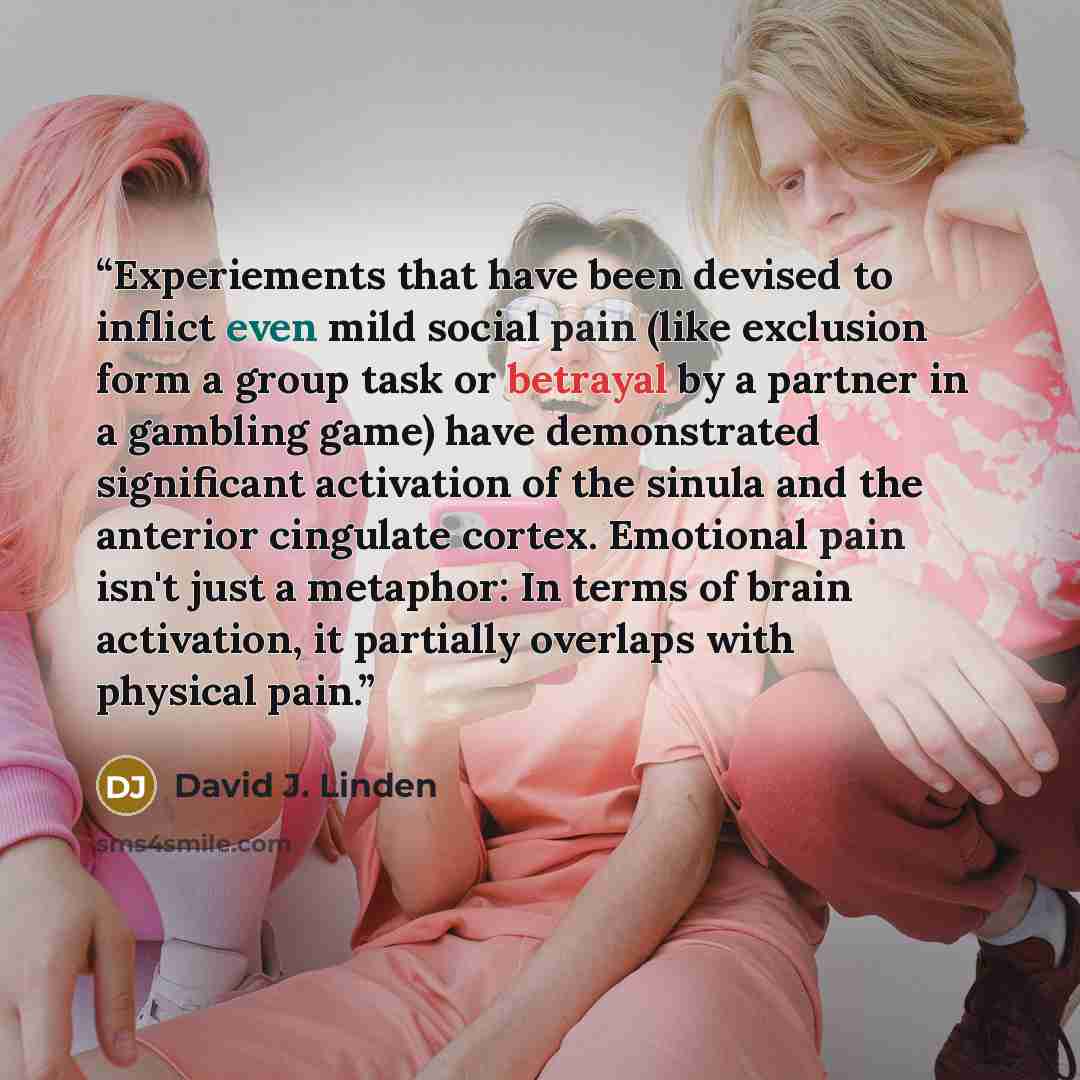 “Experiements that have been devised to inflict even mild social pain (like exclusion form a group task or betrayal by a partner in a gambling game) have demonstrated significant activation of the sinula and the anterior cingulate cortex. Emotional pain isn't just a metaphor: In terms of brain…” quote by David J. Linden