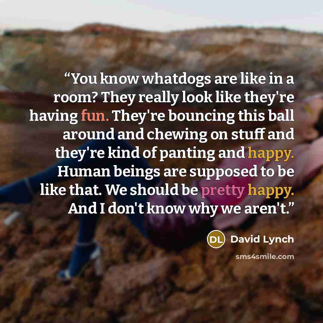 “You know whatdogs are like in a room? They really look like they're having fun. They're bouncing this ball around and chewing on stuff and they're kind of panting and happy. Human beings are supposed to be like that. We should be pretty happy. And I don't know why we aren't.” quote by David Lynch