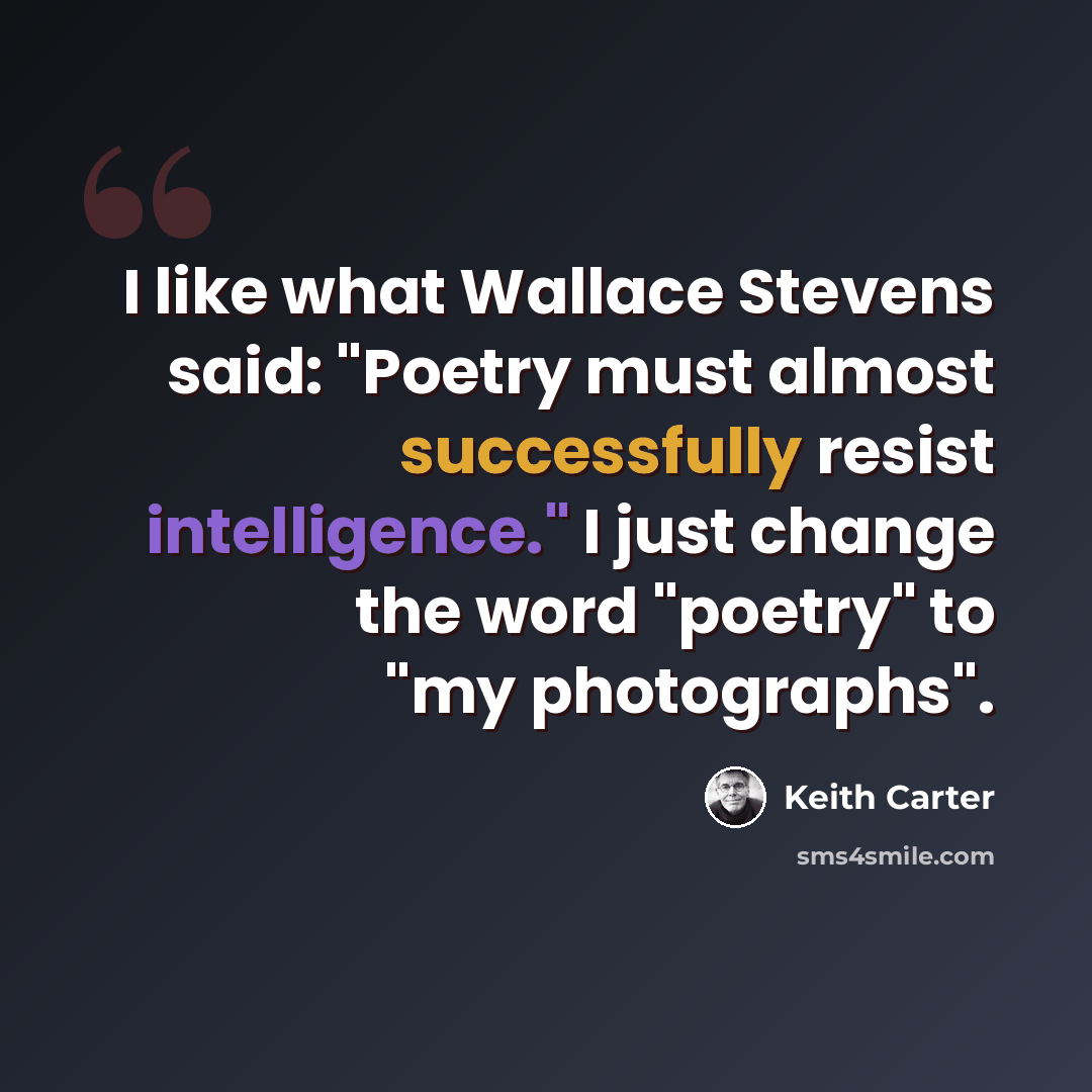 “I like what Wallace Stevens said: "Poetry must almost successfully resist intelligence." I just change the word "poetry" to "my photographs".” quote by Keith Carter