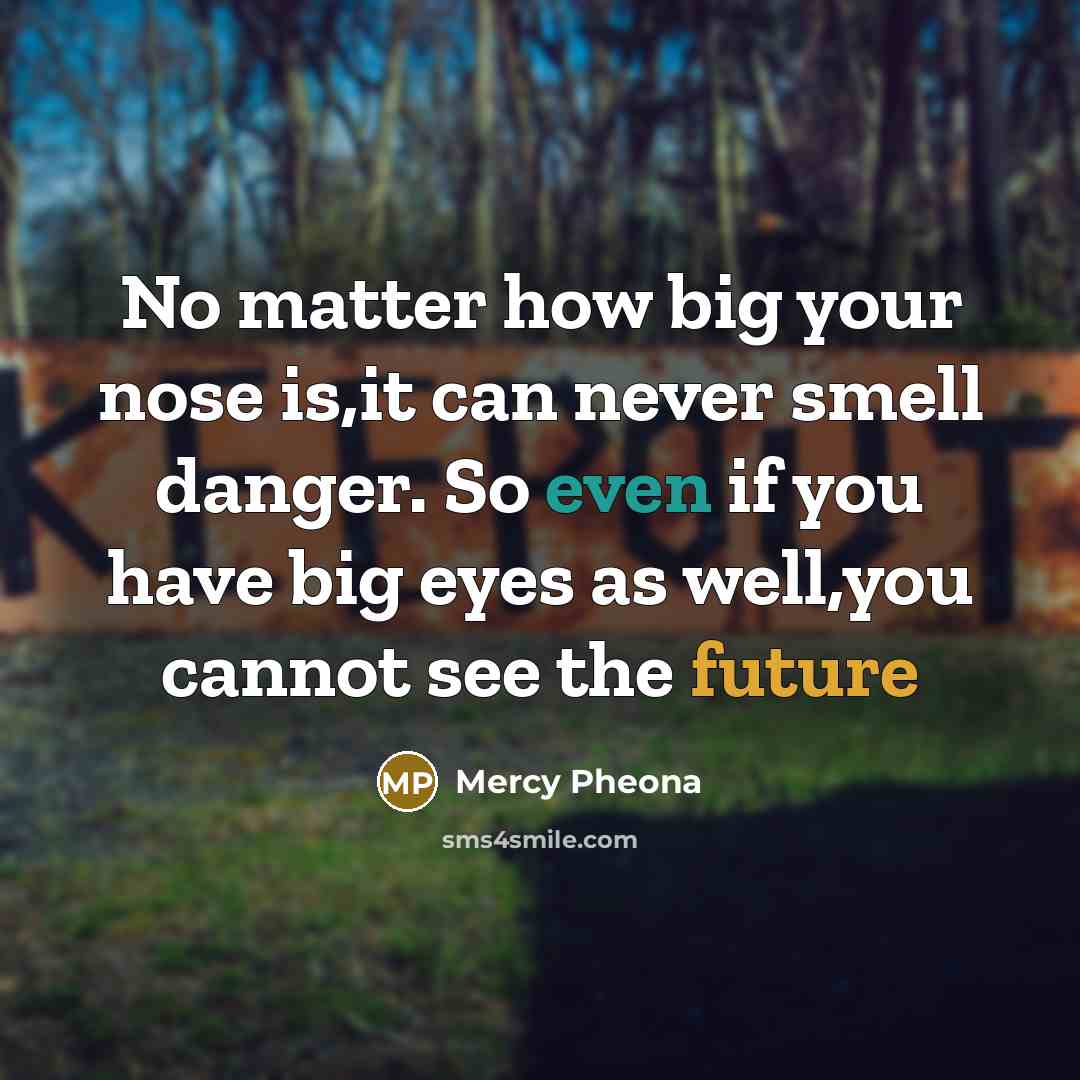 “No matter how big your nose is,it can never smell danger. So even if you have big eyes as well,you cannot see the future” quote by MERCY PHEONA