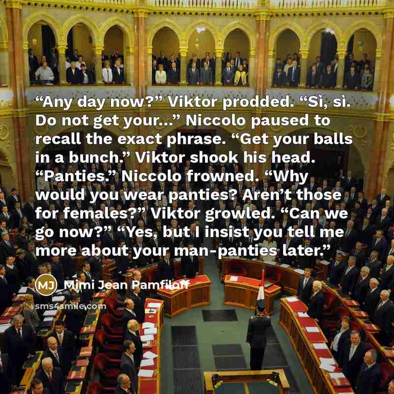 “Any day now?” Viktor prodded. “Sì, sì. Do not get your…” Niccolo paused to recall the exact phrase. “Get your balls in a bunch.” Viktor shook his head. “Panties.” Niccolo frowned. “Why would you wear panties? Aren’t those for females?” Viktor growled. “Can we go now?” “Yes, but I insist you tell…” quote by Mimi Jean Pamfiloff