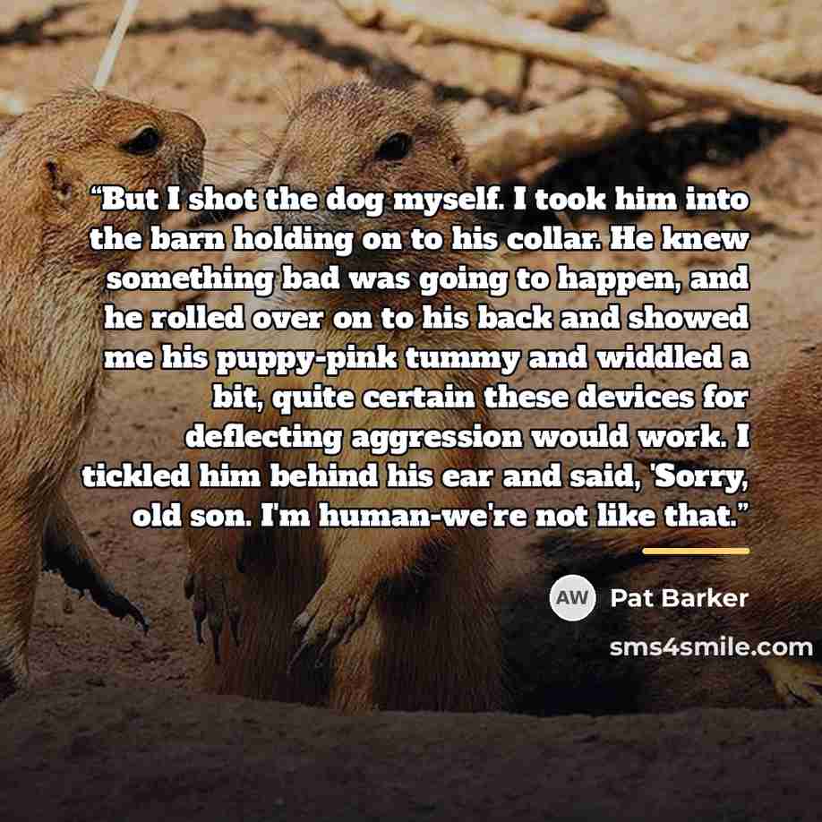 “But I shot the dog myself. I took him into the barn holding on to his collar. He knew something bad was going to happen, and he rolled over on to his back and showed me his puppy-pink tummy and widdled a bit, quite certain these devices for deflecting aggression would work. I tickled him behind…” quote by Pat Barker