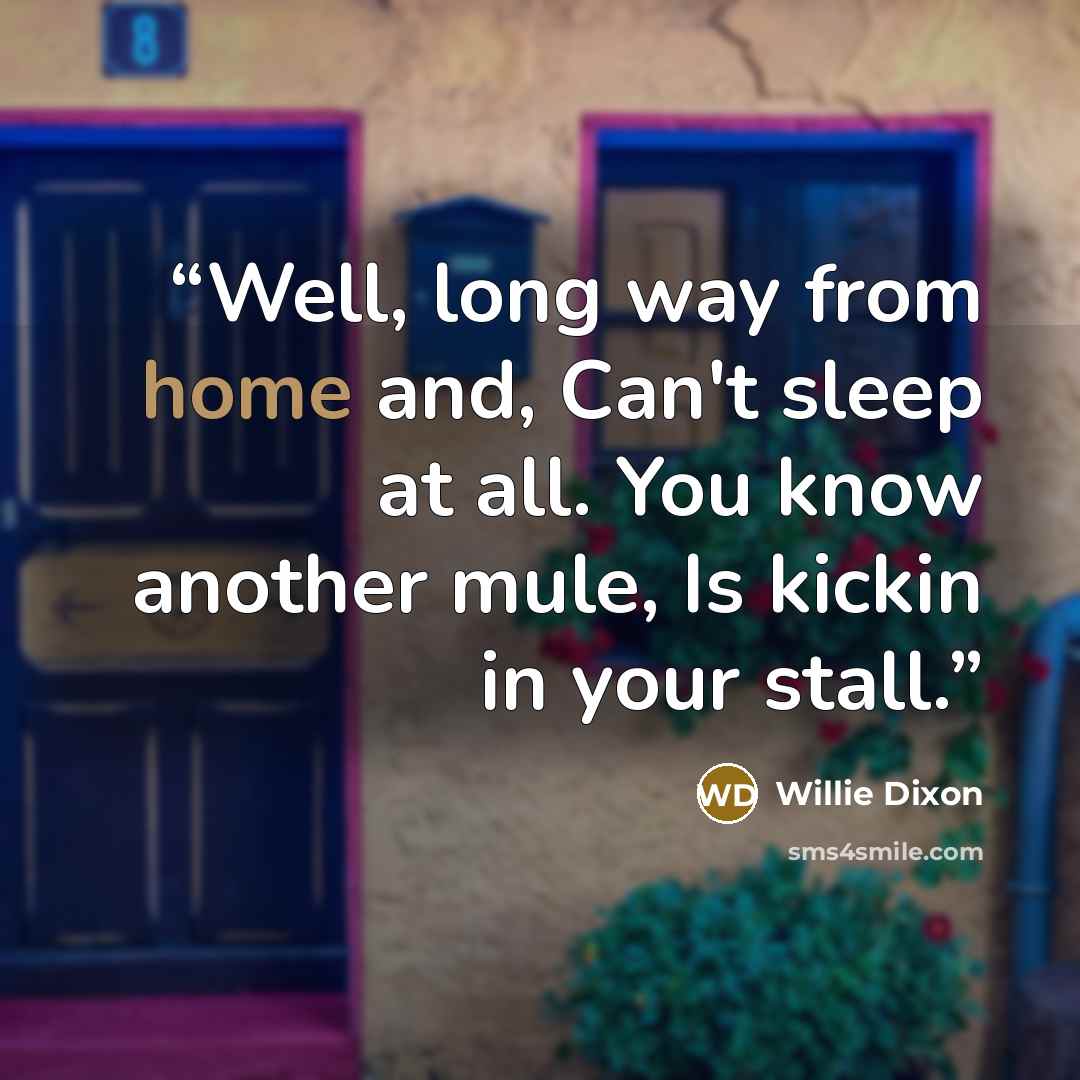 “Well, long way from home and, Can't sleep at all. You know another mule, Is kickin in your stall.” quote by Willie Dixon