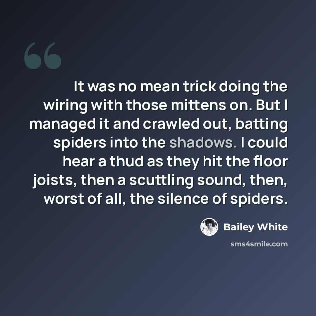 “It was no mean trick doing the wiring with those mittens on. But I managed it and crawled out, batting spiders into the shadows. I could hear a thud as they hit the floor joists, then a scuttling sound, then, worst of all, the silence of spiders.” quote by Bailey White