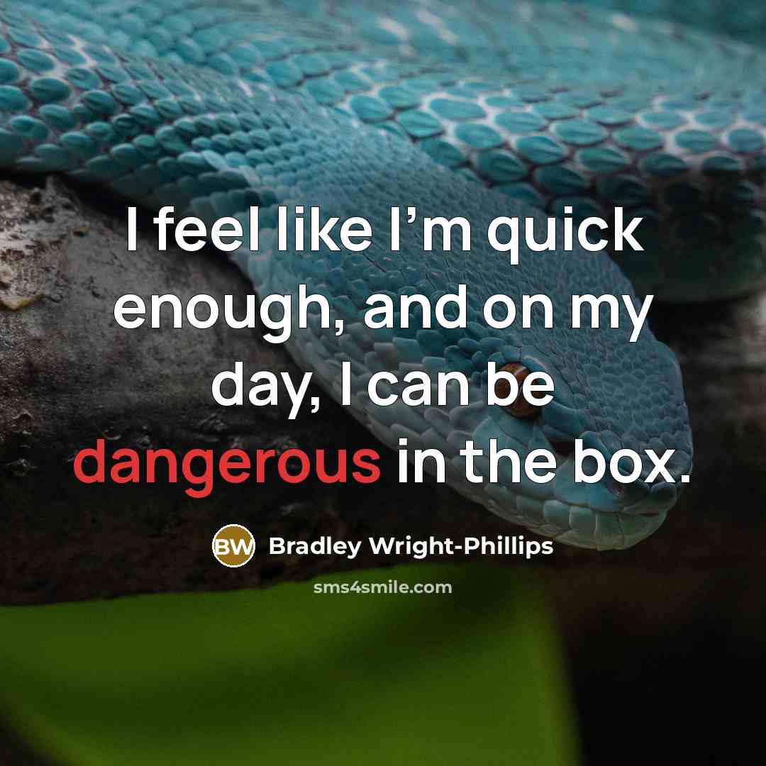 “I feel like I'm quick enough, and on my day, I can be dangerous in the box.” quote by Bradley Wright-Phillips