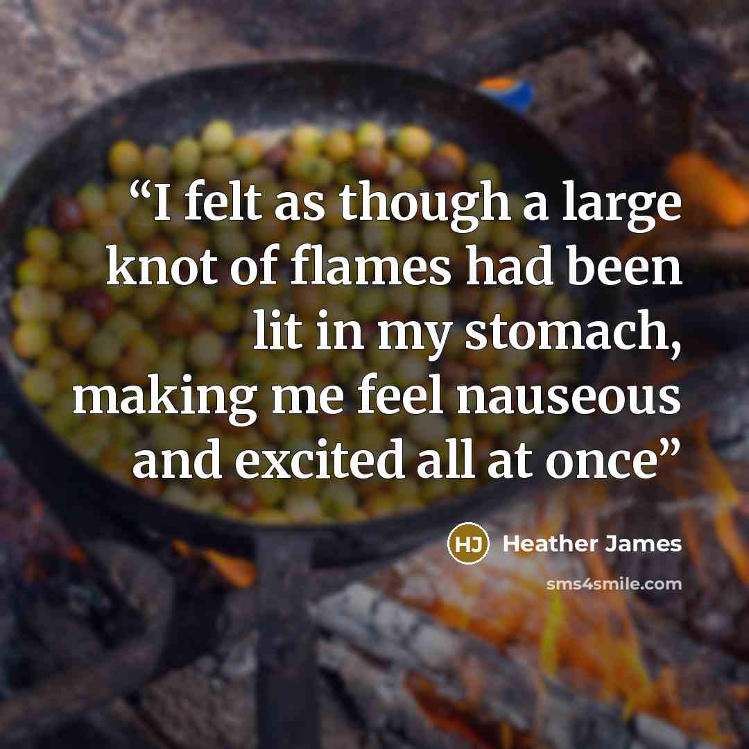 “I felt as though a large knot of flames had been lit in my stomach, making me feel nauseous and excited all at once” quote by Heather James