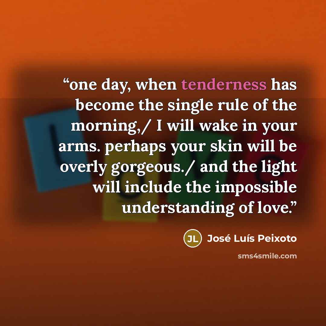 “one day, when tenderness has become the single rule of the morning,/ I will wake in your arms. perhaps your skin will be overly gorgeous./ and the light will include the impossible understanding of love.” quote by José Luís Peixoto