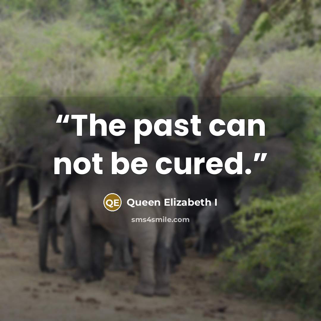 “The past can not be cured.” quote by Queen Elizabeth I