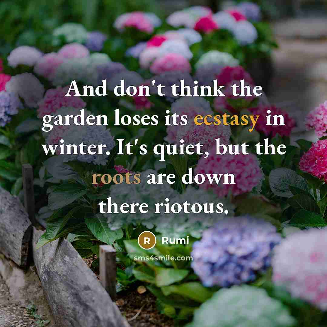 “And don't think the garden loses its ecstasy in winter. It's quiet, but the roots are down there riotous.” quote by Rumi