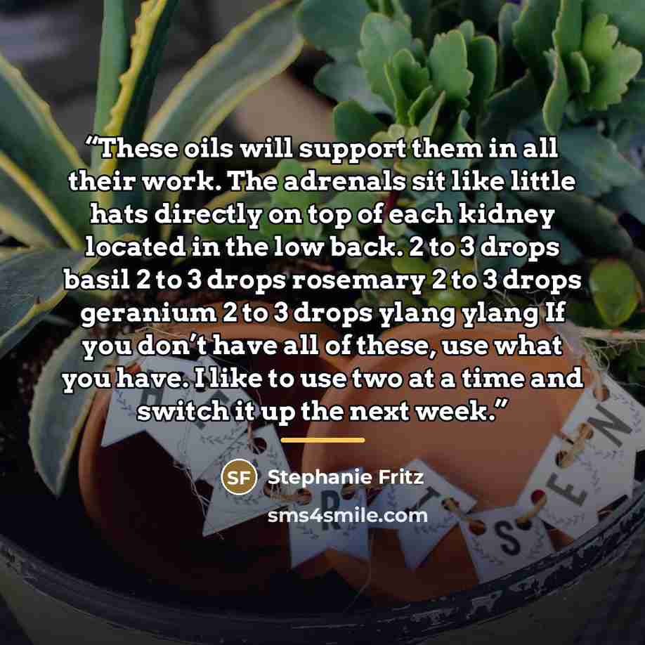 “These oils will support them in all their work. The adrenals sit like little hats directly on top of each kidney located in the low back. 2 to 3 drops basil 2 to 3 drops rosemary 2 to 3 drops geranium 2 to 3 drops ylang ylang If you don’t have all of these, use what you have. I like to use two at…” quote by Stephanie Fritz