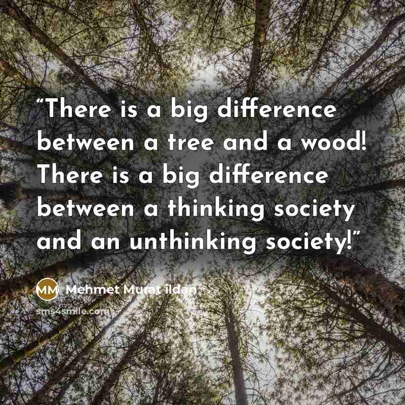“There is a big difference between a tree and a wood! There is a big difference between a thinking society and an unthinking society!” quote by Mehmet Murat ildan