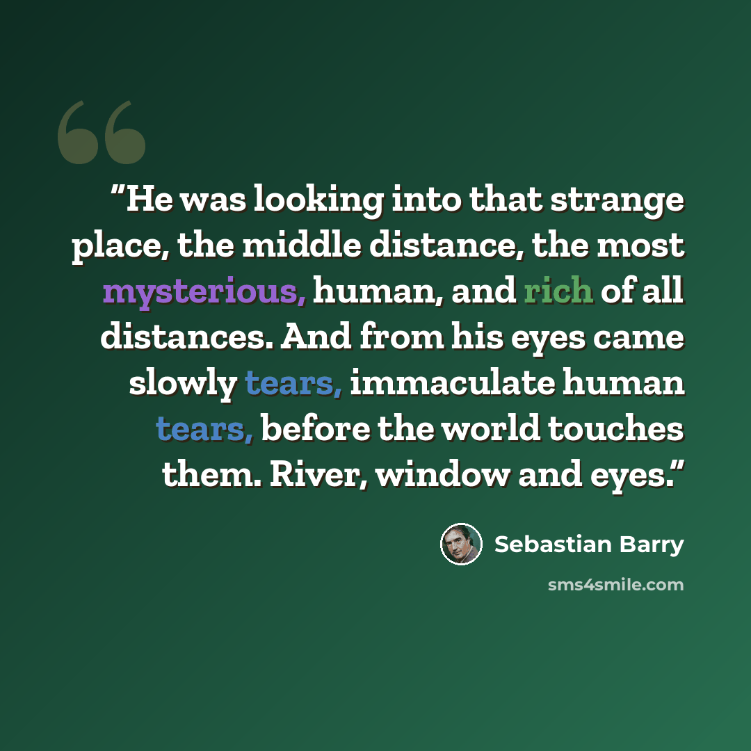 “He was looking into that strange place, the middle distance, the most mysterious, human, and rich of all distances. And from his eyes came slowly tears, immaculate human tears, before the world touches them. River, window and eyes.” quote by Sebastian Barry