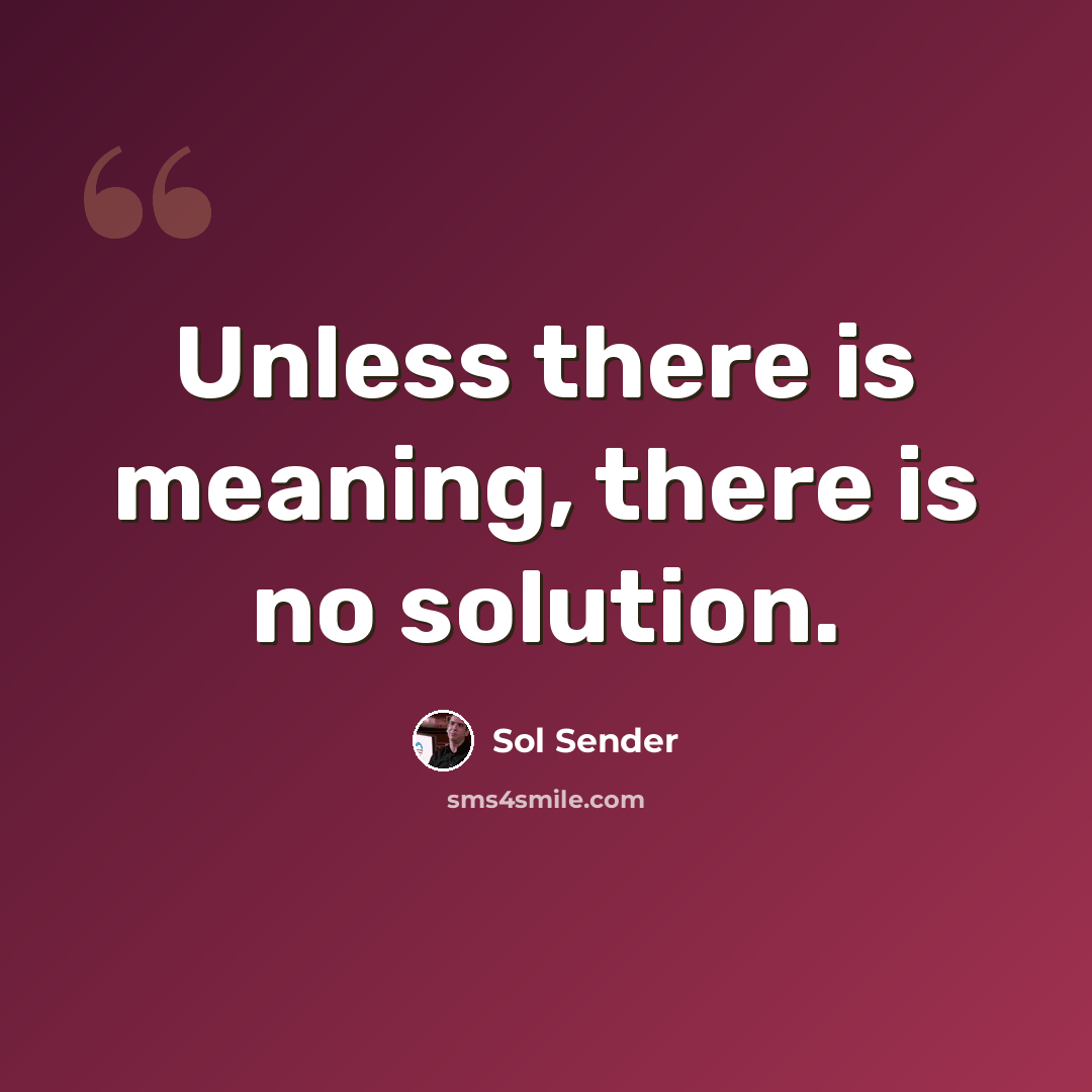 “Unless there is meaning, there is no solution.” quote by Sol Sender