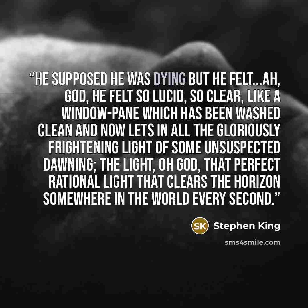 “He supposed he was dying but he felt...ah, God, he felt so lucid, so clear, like a window-pane which has been washed clean and now lets in all the gloriously frightening light of some unsuspected dawning; the light, oh God, that perfect rational light that clears the horizon somewhere in the world…” quote by Stephen King