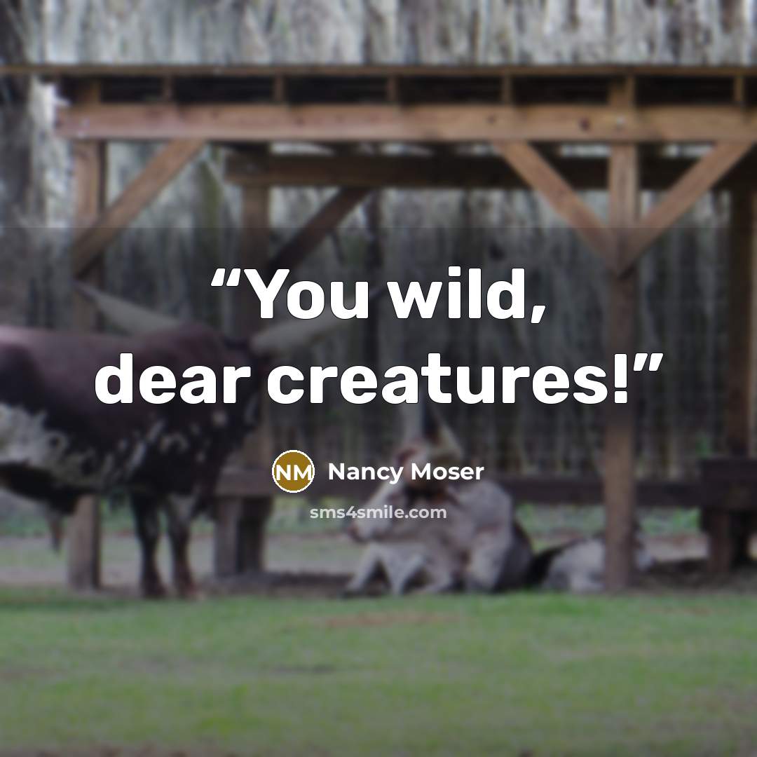 “You wild, dear creatures!” quote by Nancy Moser