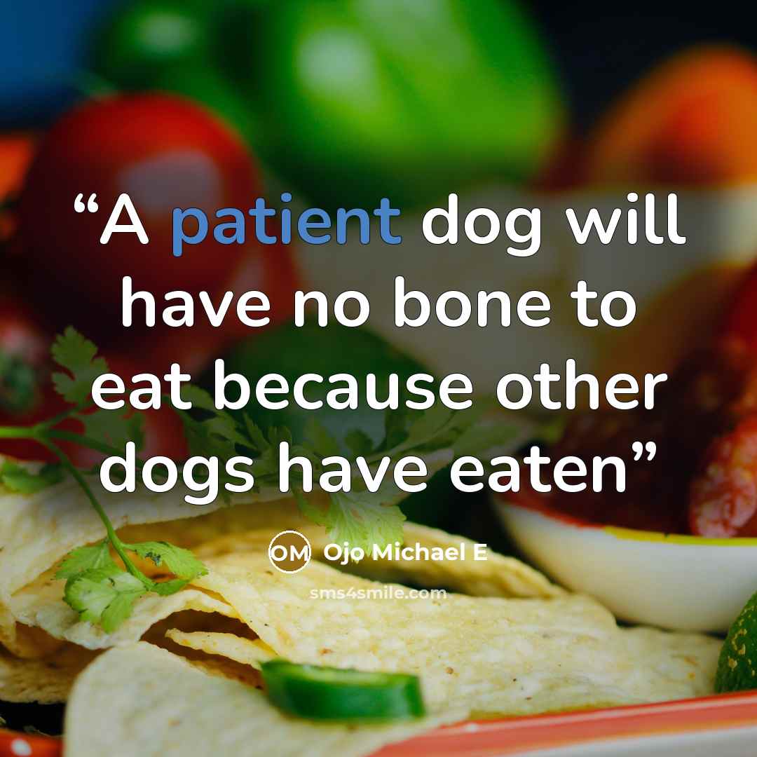 “A patient dog will have no bone to eat because other dogs have eaten” quote by Ojo Michael E