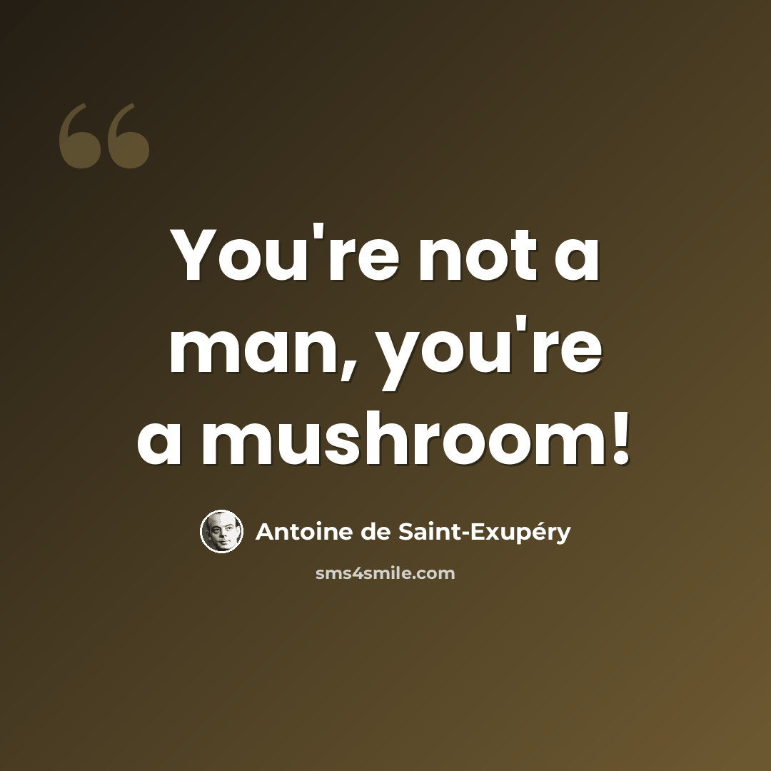 “You're not a man, you're a mushroom!” quote by Antoine de Saint-Exupery