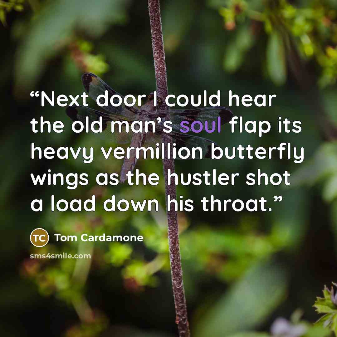 “Next door I could hear the old man’s soul flap its heavy vermillion butterfly wings as the hustler shot a load down his throat.” quote by Tom Cardamone