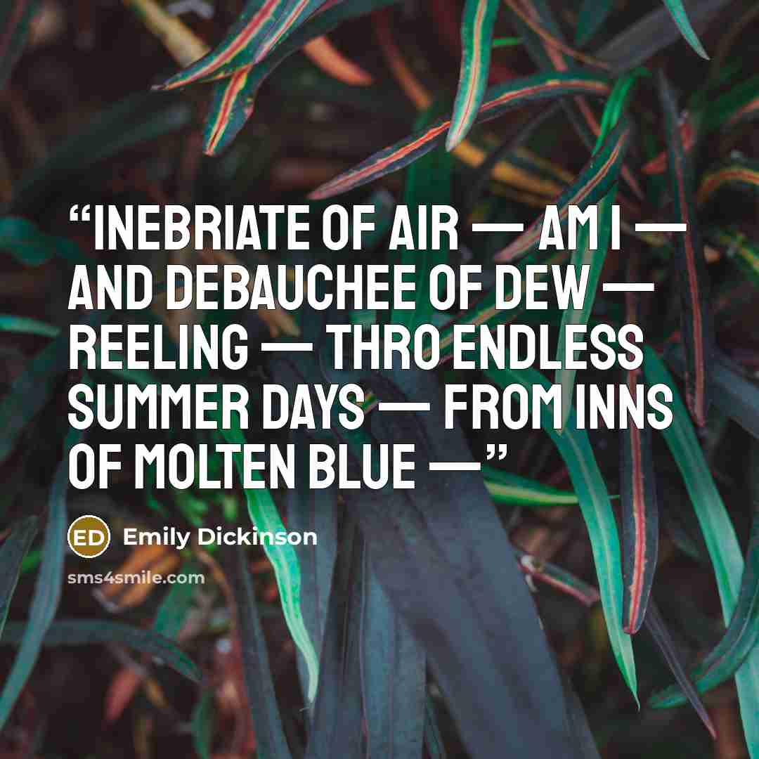 “Inebriate of Air — am I — And Debauchee of Dew — Reeling — thro endless summer days — From Inns of Molten Blue —” quote by Emily Dickinson