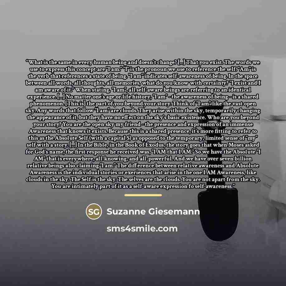 “What is the same in every human being and doesn't change? [...] That you exist. The words we use to express this concept are "I am." "I" is the pronoun we use to reference the self. "Am" is the verb that references a state of being. "I am" indicates self-awareness of being. In the space between…” quote by Suzanne Giesemann