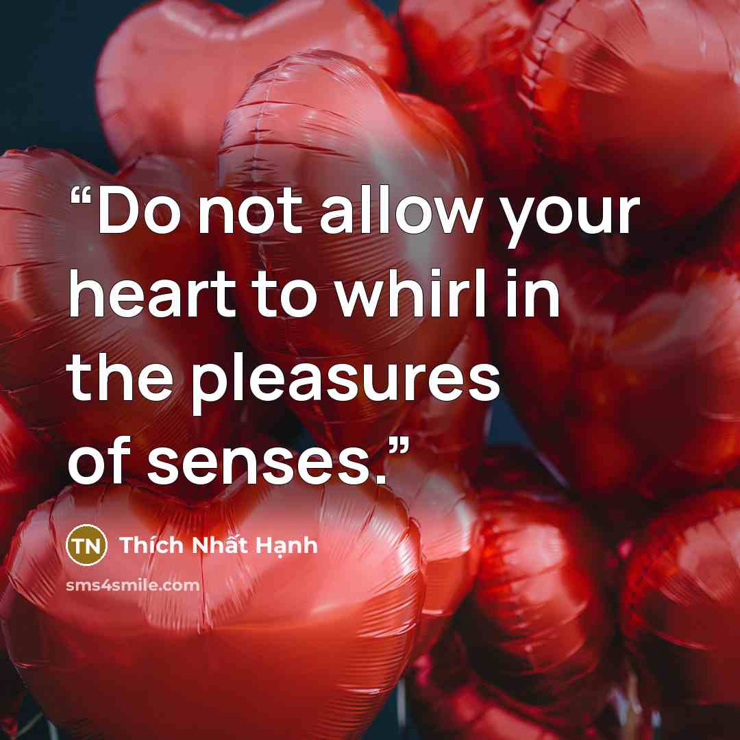 “Do not allow your heart to whirl in the pleasures of senses.” quote by Thích Nhất Hạnh
