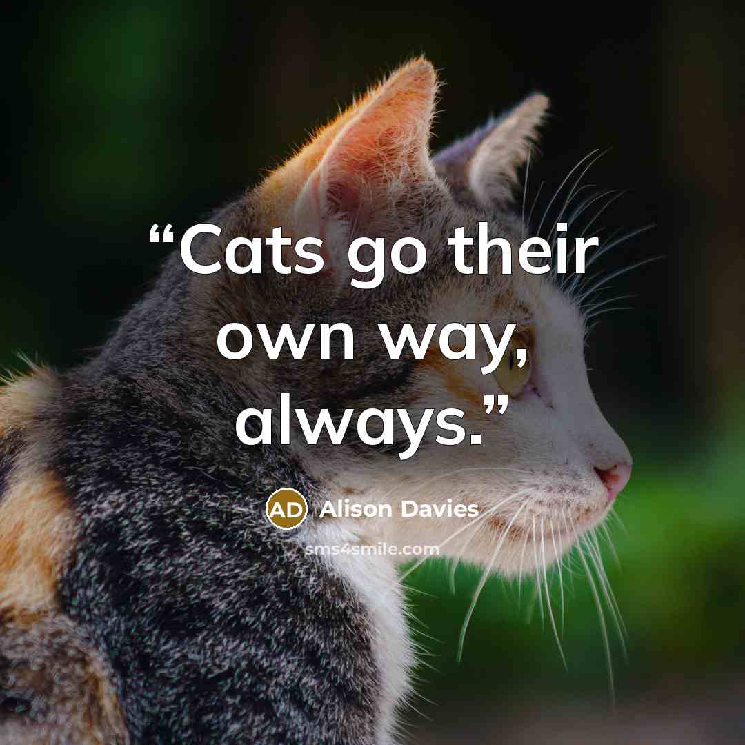 “Cats go their own way, always.” quote by Alison Davies